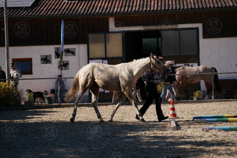 s_A_907656.JPG